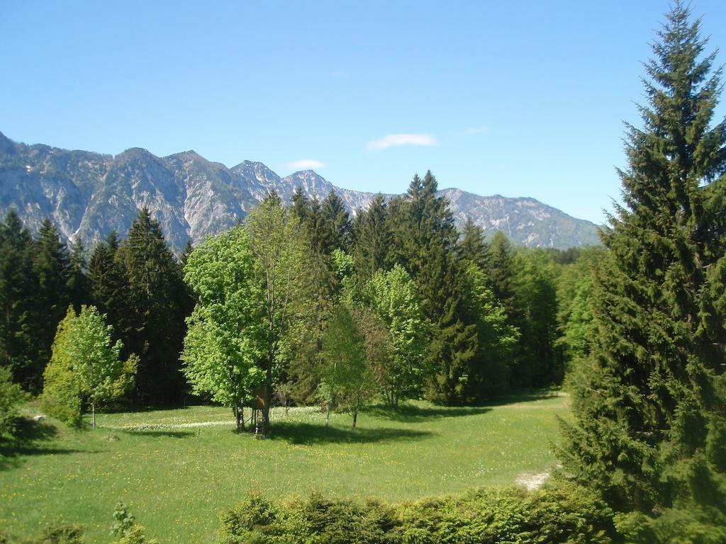Ferienwohnung Hillbrand Bad Goisern Dış mekan fotoğraf