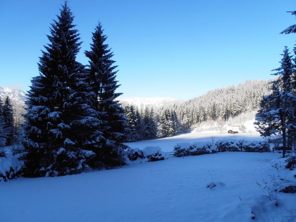 Ferienwohnung Hillbrand Bad Goisern Dış mekan fotoğraf
